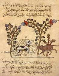 The Cat and the Rat, Arab Miniature from 