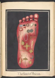 The Foot of Rama