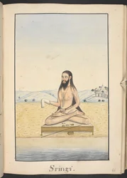 The sage, Sringi