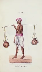 Watercarrier, from 