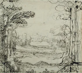 A forest