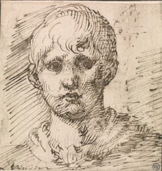 Head of a Boy