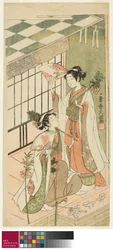 The Shrine Dancers