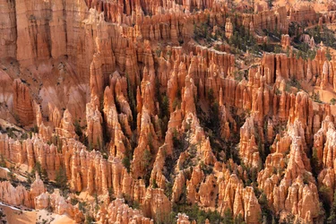 Hoodoos - spires created by erosion - at Bryce Canyon National Park in Utah, 2019