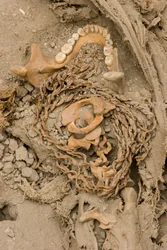 The remains of the female sacrifice