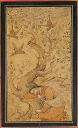 A forlorn mendicant
