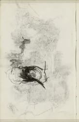 Bending Woman