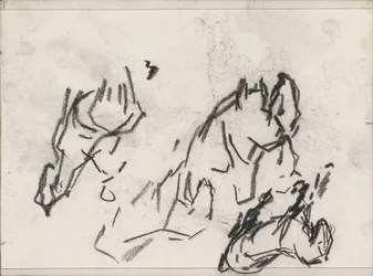 Horses
