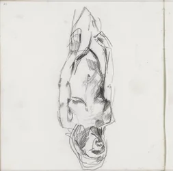 Standing Female Nude