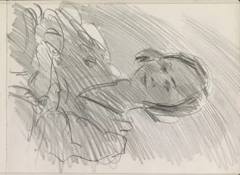 Bust of a Woman