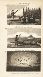 Trades in Regency England