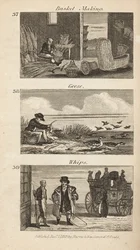 Trades in Regency England: basket making, geese plucking and whips