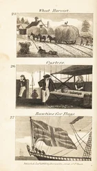 Trades in Regency England: wheat harvest, oysters and buntine for flags