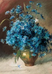 Cornflowers