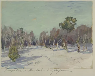 Garden in Snow