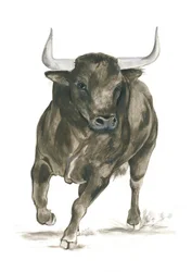 Charging Bull Power