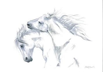 Freedom of Horses in Motion