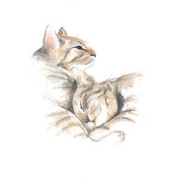 Relaxed Cats