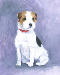 Terrier’s Poise
