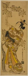 Young Woman Reading Tanzaku Tied to a Cherry Tree