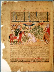 The Doctor Anoromachus curing his brother bitten by a snake, from Treatise of Theriac after Galien, 1217
