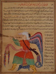 A Musician