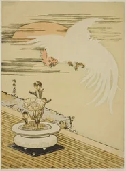 Cock Flying Over Pot of Adonis