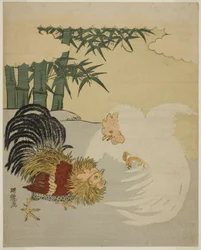 Cocks Fighting near Bamboo Grove