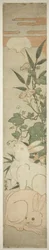 Morning-Glories, Rabbits, and Moon