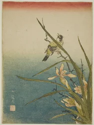 Orchid and Bird