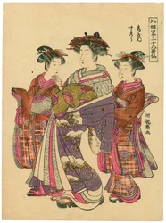 Sugawara of Tsuruya