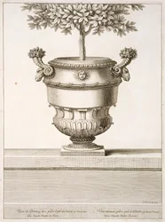 Bronze urns as used for citrus trees, illustration from 