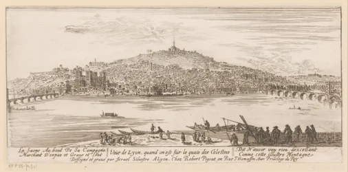 View of Lyon from the Bank near the Celestine Monastery