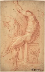 A Seated Nude