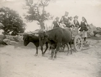 Family on Ox-Drawn Cart, Sardinia, Italy, ca 1910