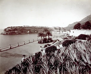 Panorama of Montecarlo. In the Foreground, Dense Vegetation of Agave Plants and Cactus