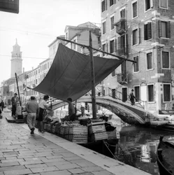 Sale of fruits and vegetables on board a boat in a canal, Venice