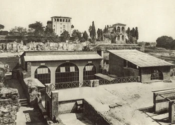 The Palatine, House of Livia