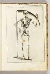 A Skeleton Holding a Scythe in the Style of a Grim Reaper, from 