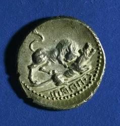 Coin of the Italic Tribes showing a bull attacking the Roman she-wolf, 89-90 BC