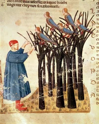 Dante and the Souls Transformed into Birds, from The Divine Comedy by Dante Alighieri