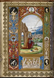 David in prayer, from the Hours of Laudamia de