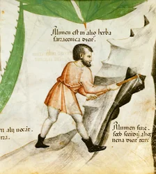 Extracting Alum, c.1440