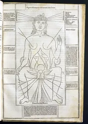 Female Anatomy