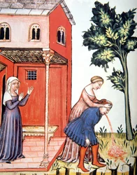 Throwing Up, illustration from Tacuinum Sanitatis Codex Vindobonensis
