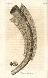 Golden Horn of Gallehus, Drinking Horn or Tunderense
