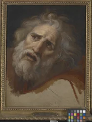 Head Of Laocoon
