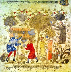 Honey Harvest in Italy in the 12th Century