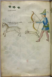 Illustration of a man with a bow shooting at an animal, with a dog, and birds above, c.1440