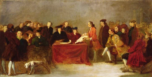 Meeting of the Academy or, Natural History Examination in Venice